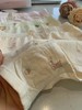 扒货工厂出！10A级抑菌儿童内裤一盒3条  26Y04007- 商品缩略图6