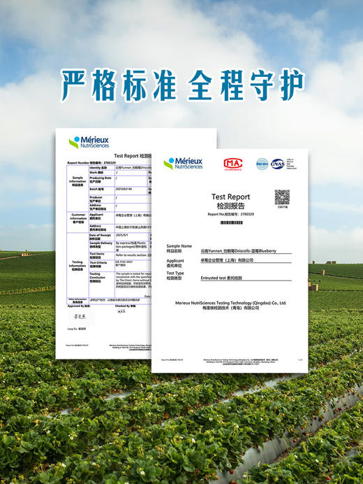 MM 山姆 怡颗梅 云南超大蓝莓 750g 商品图3