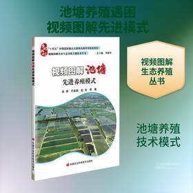 视频图解池塘先进养殖模式