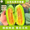 羊角蜜4.5斤彩箱装【分仓直发，72小时发货，周末节假日不发货】 商品缩略图0