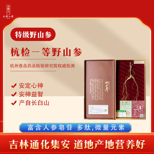 【收藏级野山参 整支原装】杭检一等野山参整支配证书JL 商品图0