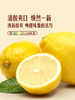 MM 山姆 Jumbo大颗黄柠檬 1.36kg 商品缩略图2