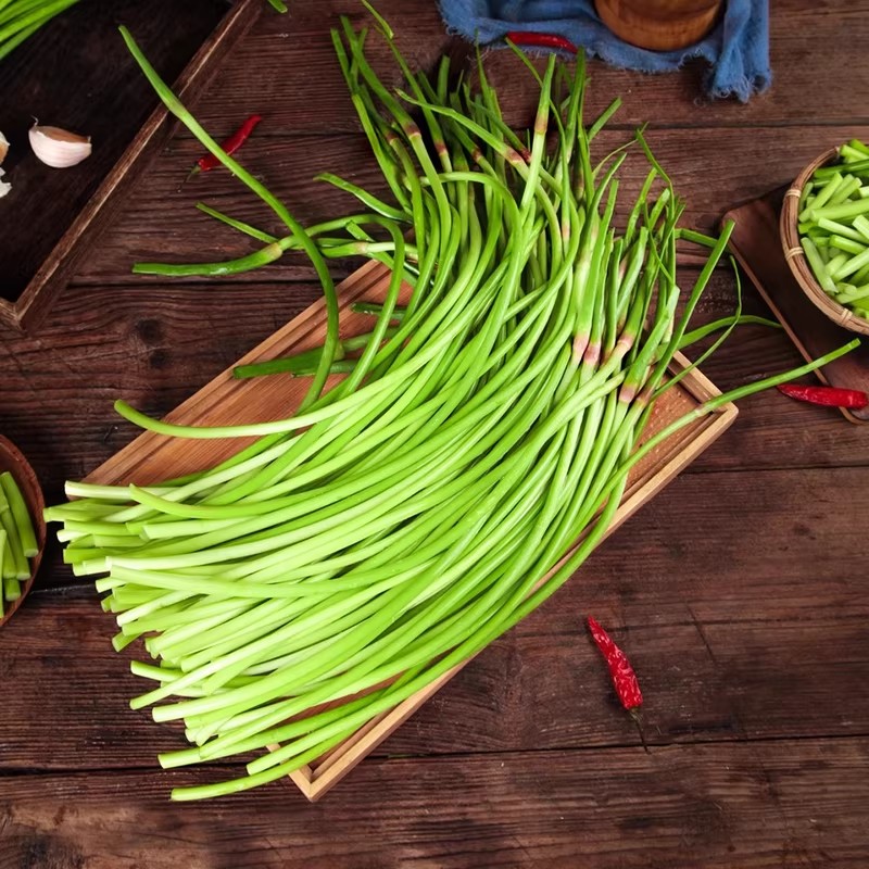 2026年现摘红帽蒜苔蒜薹