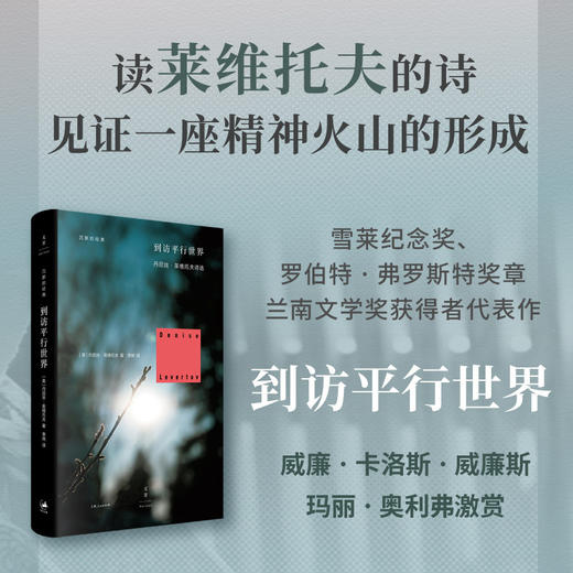 到访平行世界 商品图0