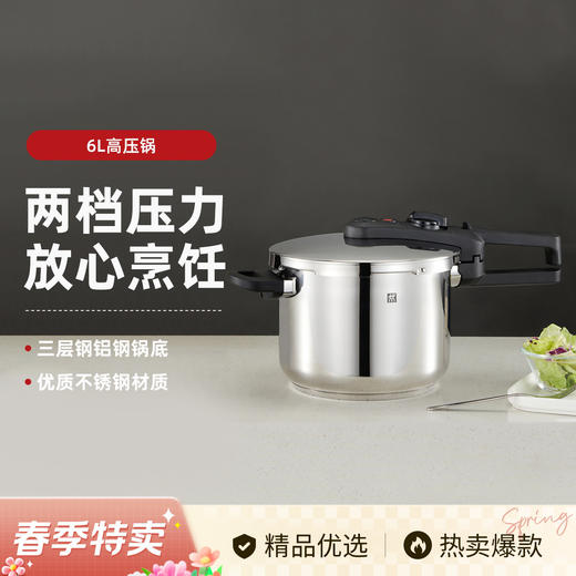 6932475205724 双立人ZWILLING 【炉灶通用】EcoQuick II 6L家用压力锅高压锅 商品图2