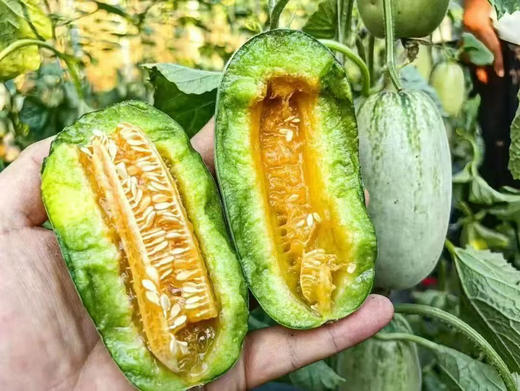 蜜七七羊角蜜瓜6-8个装 商品图0