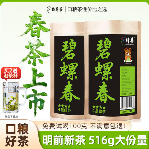 2026新茶上市明前春茶碧螺春绿茶258g*2袋4星 商品图0