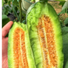 羊角蜜4.5斤彩箱装【分仓直发，72小时发货，周末节假日不发货】 商品缩略图1