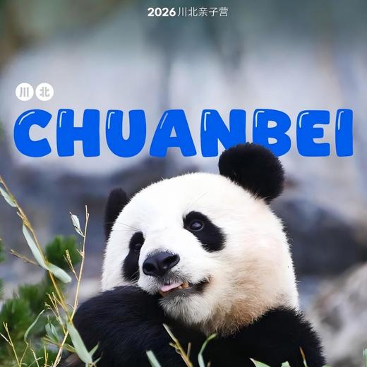 【联合发班】2026川北丨 深入川北秘境，住进世界级风景中和珍稀野生动物面对面，体验专业大熊猫保育，双证书加持！ 商品图0
