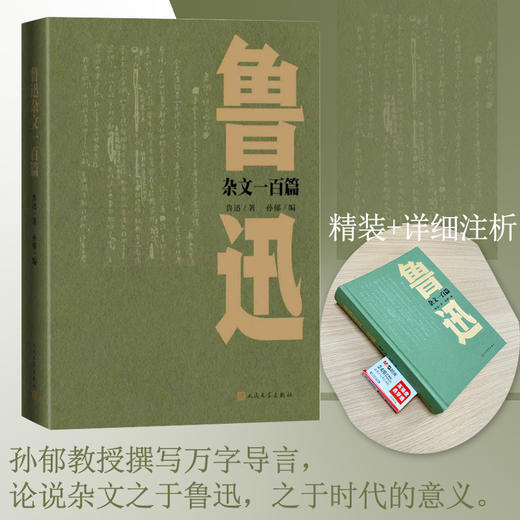 鲁迅杂文一百篇 商品图0