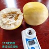 沂蒙山头茬甜瓜星甜小蜜蜂瓜清脆可口 清爽多汁 商品缩略图1