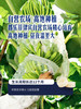 MM 山姆 超甜焦 1.4kg 商品缩略图6