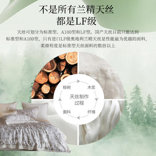 臻品100支天丝轻奢印花四件套(和风沐野) 商品图1