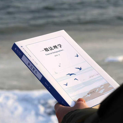 一般法理学 商品图2