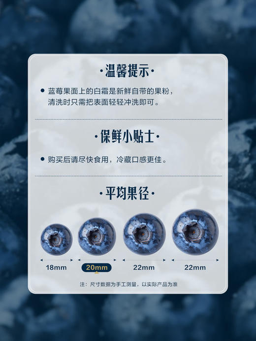 MM 山姆 20mm云南蓝莓 600g 商品图7