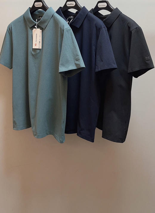 41-7 极速秒杀 今晚24点前 两棵树新款 男士翻领polo短袖T恤 老朱穿XL 商品图9