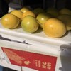 农科院新品种！海南桂蜜百香果【净重约3斤】~几乎完美的一款百香果，口感纯甜，风味超浓郁。 商品缩略图2