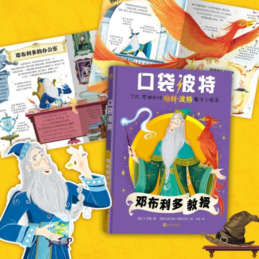 口袋波特:邓布利多教授 商品图1
