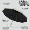 雨宝·自动晴雨伞 加大加厚伞面，可抗暴雨 UPF50+防晒 商品缩略图3