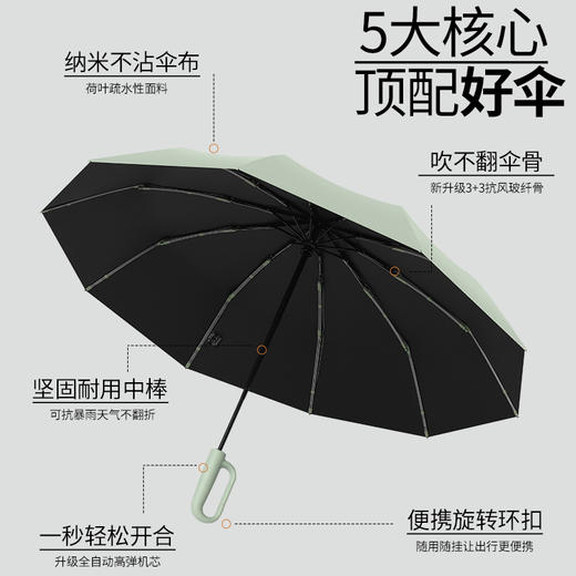 雨宝·自动晴雨伞 加大加厚伞面，可抗暴雨 UPF50+防晒 商品图3