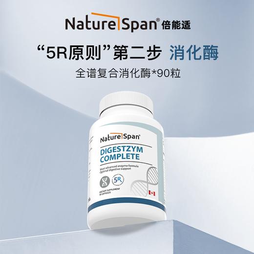 【肠道5R】综合多重天然草本小檗碱+1000亿益生菌+消化酶+纤维营养粉组合4瓶/套 NS倍能适美国 商品图2