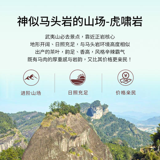 【窠岩氏】06虎啸岩肉桂80g 商品图3