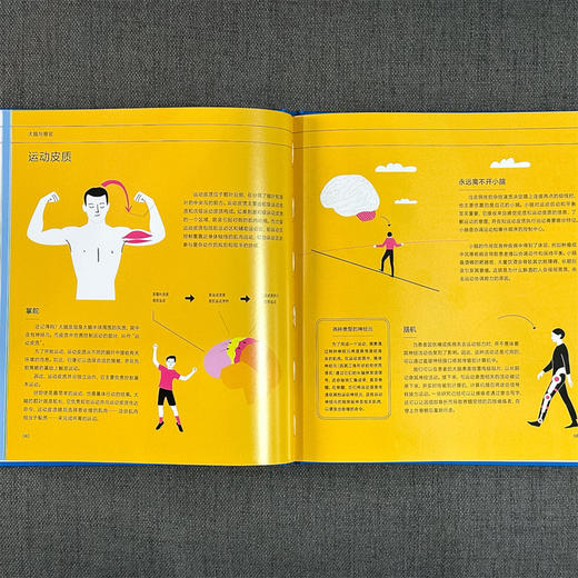 大脑信息图 商品图4