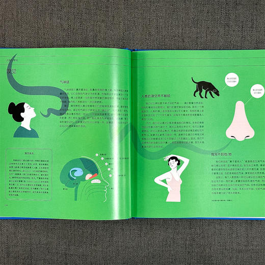 大脑信息图 商品图3