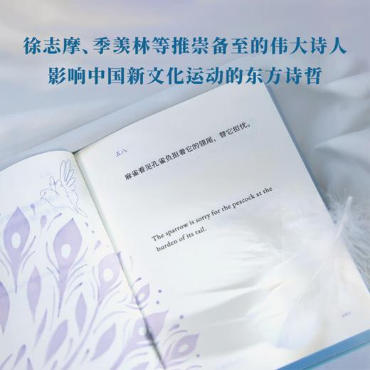 中英文双语【飞鸟集】 商品图2