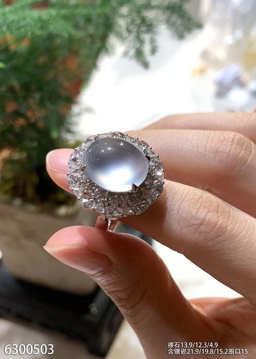 玻璃种蛋面戒指【6300503】具体价格微信咨询 商品图3