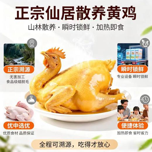 正宗仙居散养三黄鸡，山林散养，五谷为食，无害加工，活鸡现杀加工 商品图3