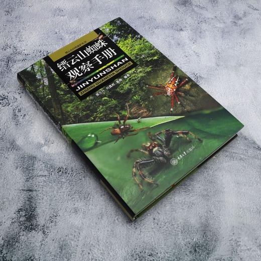 缙云山蜘蛛观察手册 商品图1