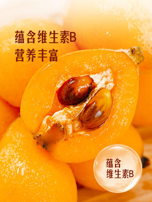 MM 山姆 高山玲珑枇杷 800g 商品图6