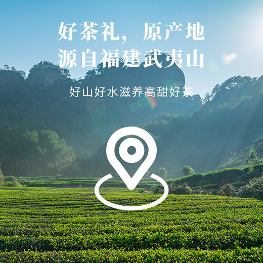 八马茶业 | 多多有福·武夷山大红袍骏眉红茶茶礼组合450g 商品图2