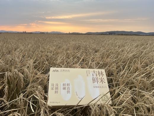 【鲜米年卡专属兑换套餐】六鲜合一鲜碾原粮稻花香2号礼盒装 5kg/箱JL 商品图3