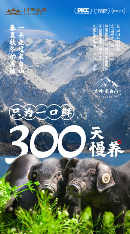 【月满中秋礼】现宰冷链正宗延边黄牛肉+双无抗黑猪肉烤肠桂秋肉萃礼盒套餐JL 商品图5