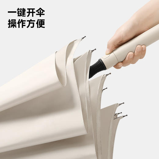 花觉超大配色高尔夫伞，30寸8骨，比普通伞大多人可用 商品图2