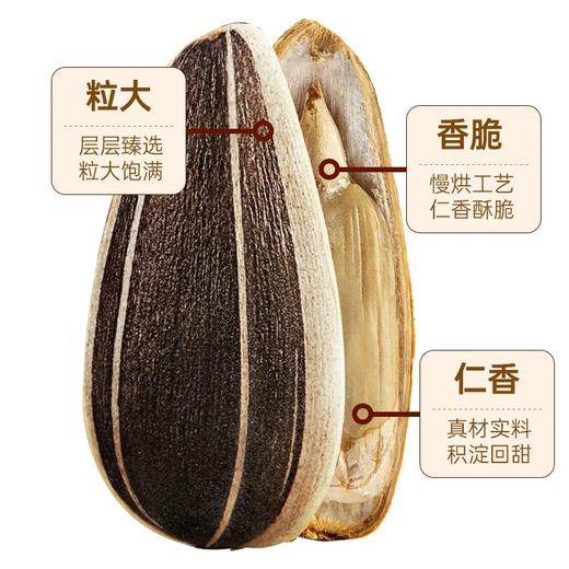 森林气息原香大瓜子JL 商品图1