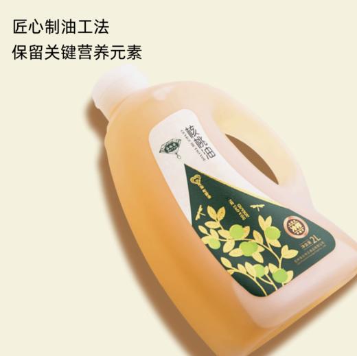 【高校专属&全场满99包邮】100%纯核桃油物理低温压榨2L实惠装JL 商品图2