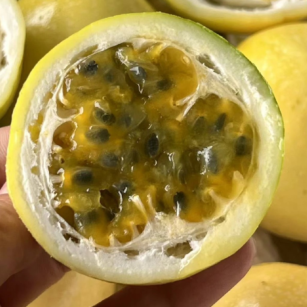 农科院新品种！海南桂蜜百香果【净重约3斤】~几乎完美的一款百香果，口感纯甜，风味超浓郁。