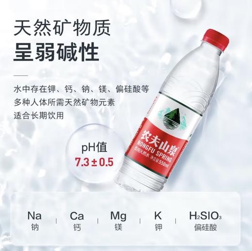 农夫山泉饮用天然水 商品图1