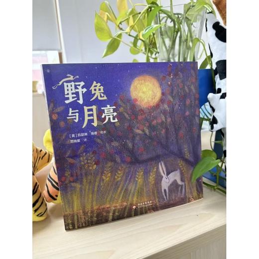 野兔与月亮 商品图2