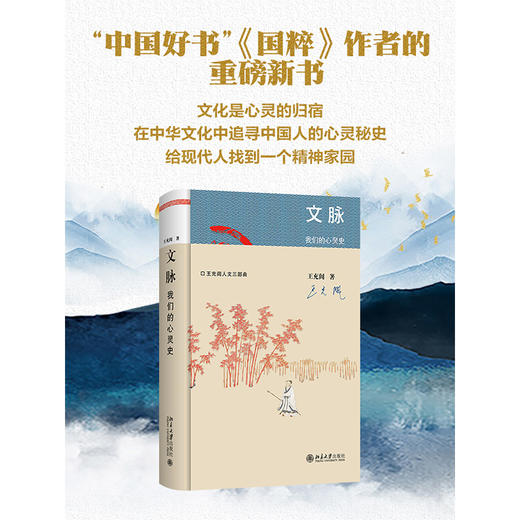 文脉：我们的心灵史 王充闾 著 王充闾人文三部曲 北京大学出版社 商品图2