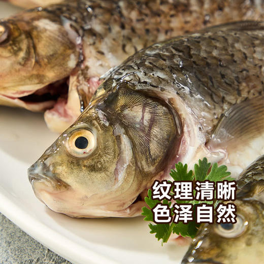MM 山姆 千岛湖三去鲫鱼4条 1kg 商品图2