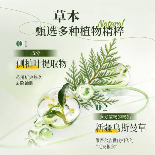 侧柏叶洗发皂新疆乌斯曼草何首乌正品国货 商品图5