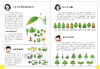 跟着院士探秘植物王国（套装6册） 拓展小学科学课 问答通俗易懂 商品缩略图5