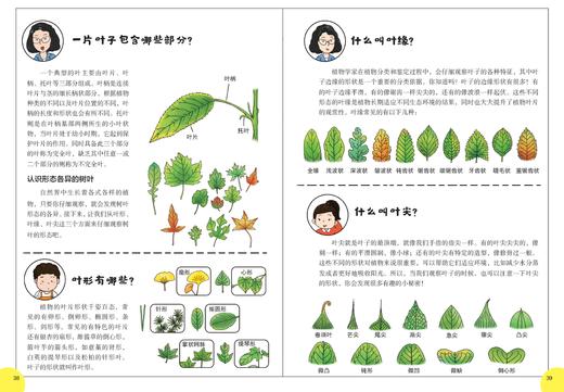 跟着院士探秘植物王国（套装6册） 拓展小学科学课 问答通俗易懂 商品图5