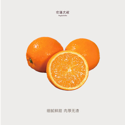 【豆豆LAB】伦晚脐橙 鲜甜多汁  12枚礼盒装 商品图1