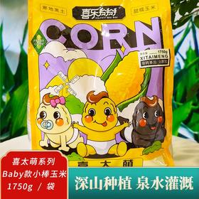 *喜太萌baby款东北甜糯小棒真空鲜食玉米粗粮JL