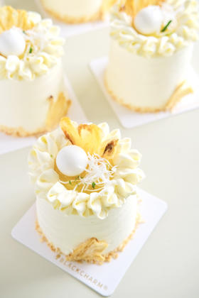 椰椰凤梨（mini款）